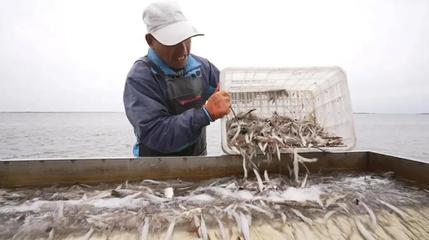 金秋龍江慶豐收，魚米滿倉振三農——寫在中國農民豐收節(jié)