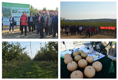 強化技術引領，加快推進水產養(yǎng)殖現(xiàn)代化
