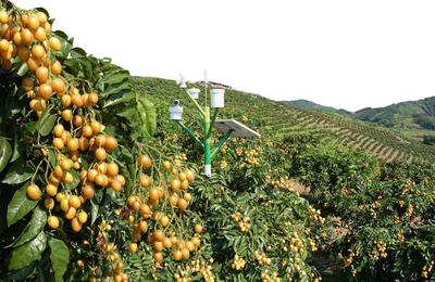 農(nóng)產(chǎn)品不愁銷，訂單農(nóng)業(yè)來(lái)支招