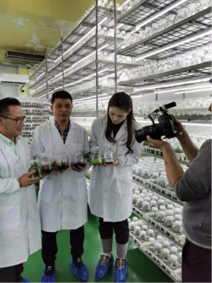 國(guó)坤堂鐵皮石斛榮獲國(guó)家農(nóng)產(chǎn)品地理標(biāo)志保護(hù)產(chǎn)品