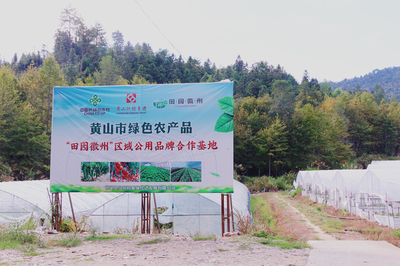 祁門(mén)縣 茶香滿山，特色農(nóng)業(yè)繪就鄉(xiāng)村振興新畫(huà)卷